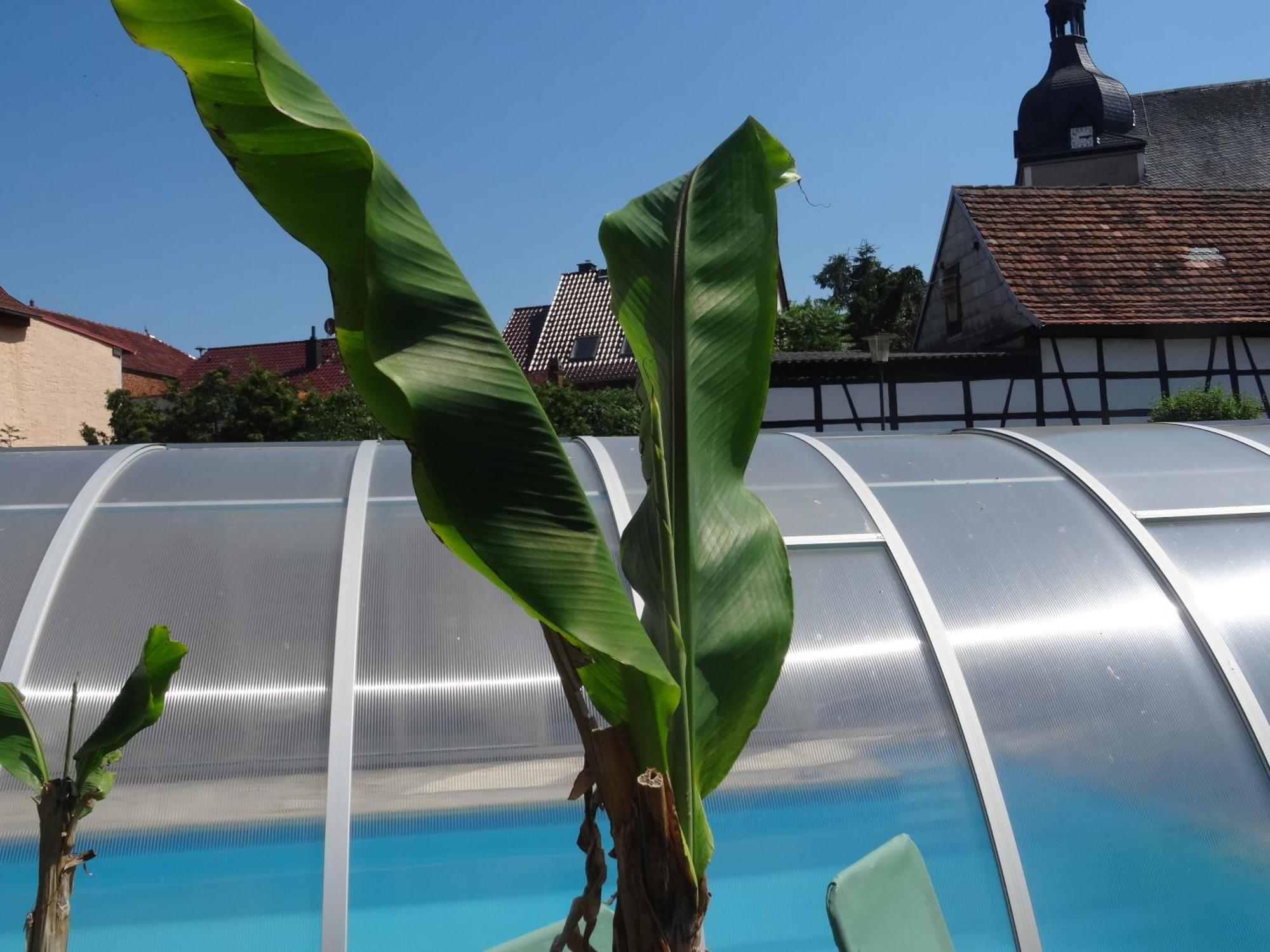 Pension Und Gaestehaus Paffrath Grossbrembach Kültér fotó